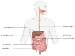 CPGs Related to Gastrointestinal Conditions