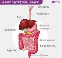 CPGs Related to Gastrointestinal Conditions