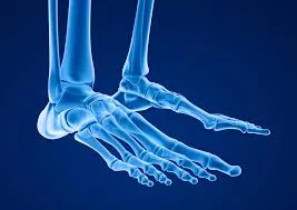 CPGs Related to Musculoskeletal and Rheumatologic Conditions